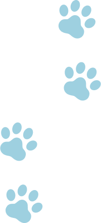 swiper-img